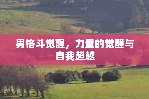 男格斗觉醒,力量的觉醒与自我超越 男格斗觉醒,力量的觉醒与自我超越