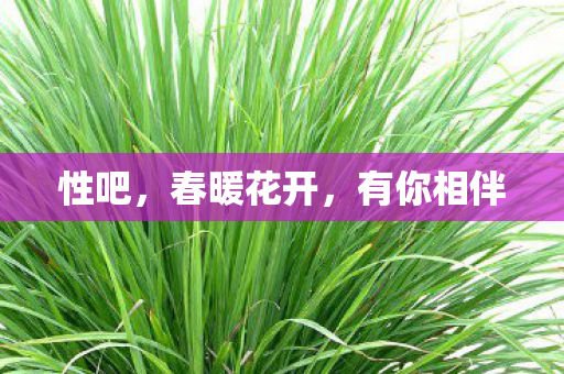 性吧，春暖花开，有你相伴