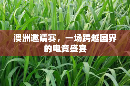 澳洲邀请赛,一场跨越国界的电竞盛宴 澳洲邀请赛,一场跨越国界的电竞盛宴