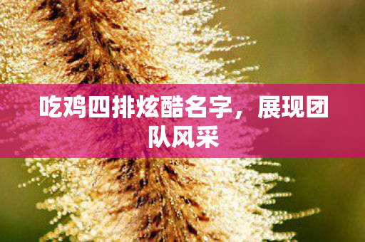 吃鸡四排炫酷名字,展现团队风采 吃鸡四排炫酷名字,展现团队风采