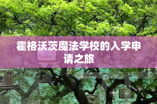 霍格沃茨魔法学校的入学申请之旅 霍格沃茨魔法学校的入学申请之旅