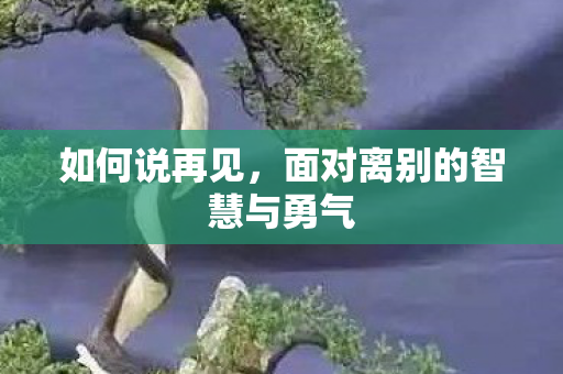 如何说再见，面对离别的智慧与勇气