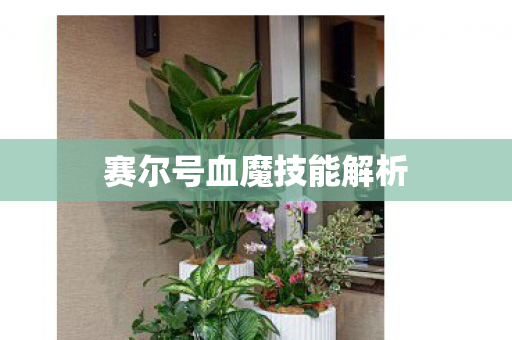 赛尔号血魔技能解析 赛尔号血魔技能解析