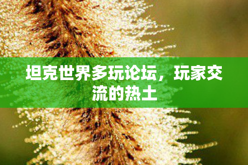 坦克世界多玩论坛,玩家交流的热土 坦克世界多玩论坛,玩家交流的热土