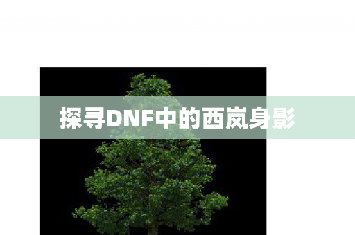 探寻DNF中的西岚身影 探寻DNF中的西岚身影