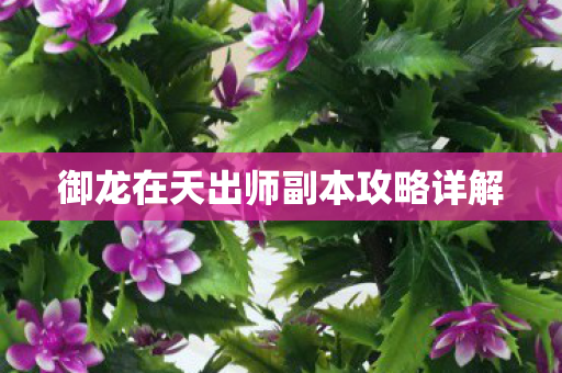 御龙在天出师副本攻略详解