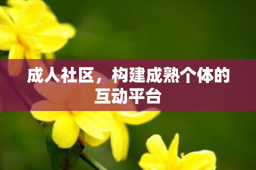 成人社区,构建成熟个体的互动平台 成人社区,构建成熟个体的互动平台