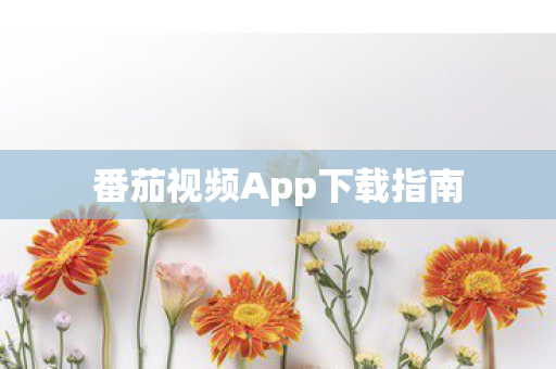 番茄视频App下载指南 番茄视频App下载指南