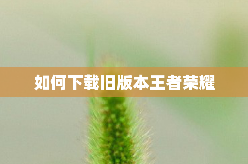 如何下载旧版本王者荣耀 如何下载旧版本王者荣耀