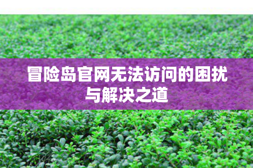 冒险岛官网无法访问的困扰与解决之道 冒险岛官网无法访问的困扰与解决之道