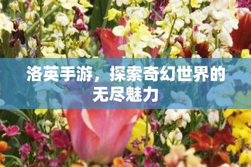 洛英手游,探索奇幻世界的无尽魅力 洛英手游,探索奇幻世界的无尽魅力