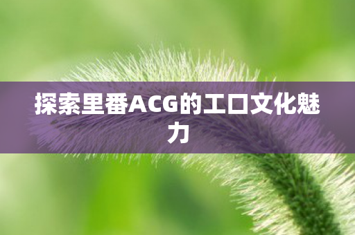 探索里番ACG的工口文化魅力 探索里番ACG的工口文化魅力