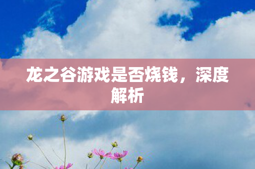 龙之谷游戏是否烧钱,深度解析 龙之谷游戏是否烧钱,深度解析