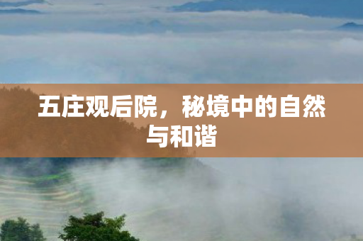 五庄观后院，秘境中的自然与和谐