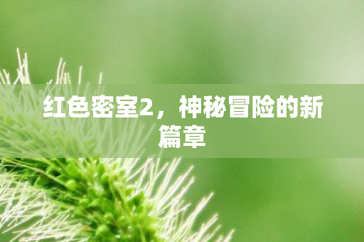 红色密室2,神秘冒险的新篇章 红色密室2,神秘冒险的新篇章