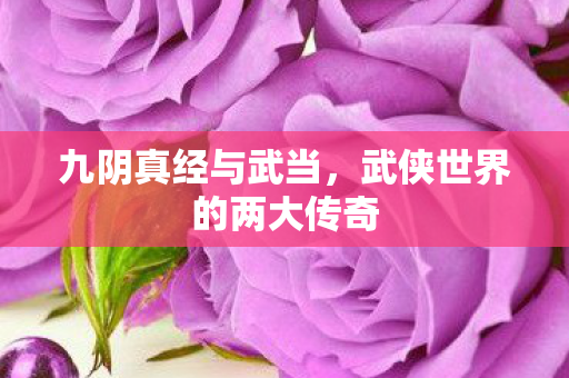 九阴真经与武当,武侠世界的两大传奇 九阴真经与武当,武侠世界的两大传奇