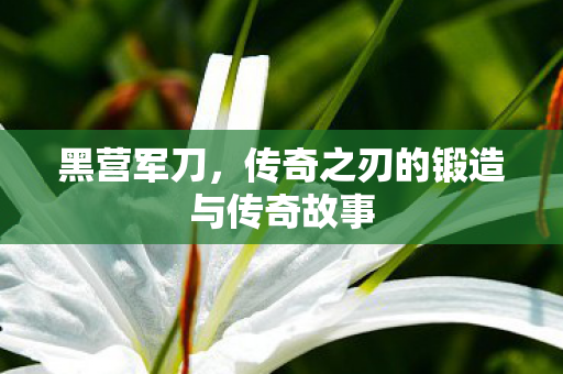 黑营军刀,传奇之刃的锻造与传奇故事 黑营军刀,传奇之刃的锻造与传奇故事