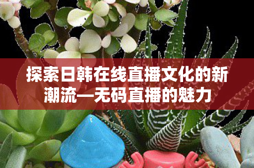 探索日韩在线直播文化的新潮流—无码直播的魅力 探索日韩在线直播文化的新潮流—无码直播的魅力