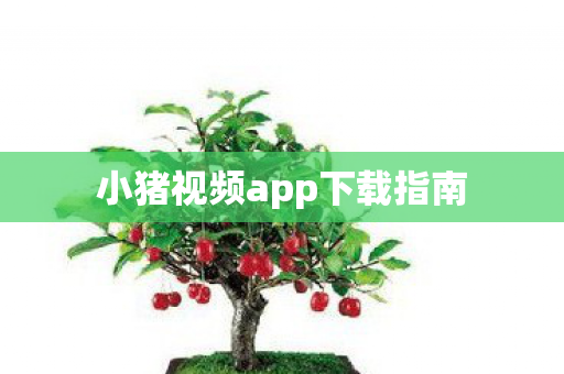小猪视频app下载指南 小猪视频app下载指南
