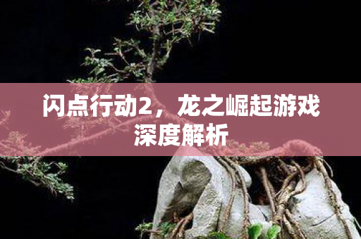 闪点行动2,龙之崛起游戏深度解析 闪点行动2,龙之崛起游戏深度解析