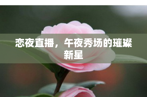恋夜直播,午夜秀场的璀璨新星 恋夜直播,午夜秀场的璀璨新星