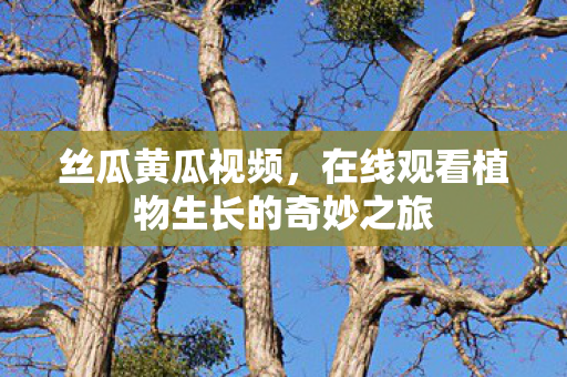 丝瓜黄瓜视频,在线观看植物生长的奇妙之旅 丝瓜黄瓜视频,在线观看植物生长的奇妙之旅
