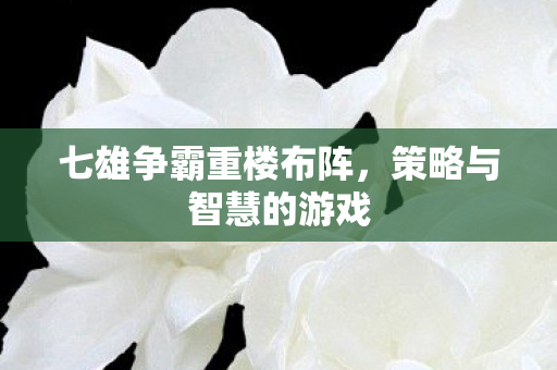 七雄争霸重楼布阵,策略与智慧的游戏 七雄争霸重楼布阵,策略与智慧的游戏