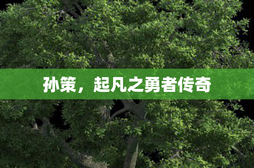 孙策,起凡之勇者传奇 孙策,起凡之勇者传奇