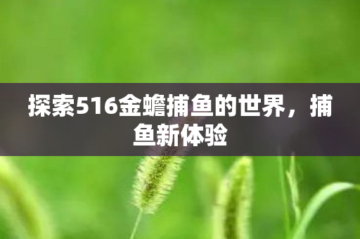 探索516金蟾捕鱼的世界,捕鱼新体验 探索516金蟾捕鱼的世界,捕鱼新体验