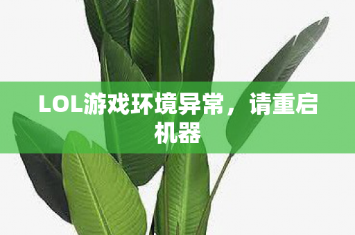 LOL游戏环境异常，请重启机器