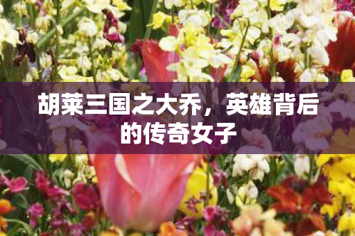 胡莱三国之大乔,英雄背后的传奇女子 胡莱三国之大乔,英雄背后的传奇女子