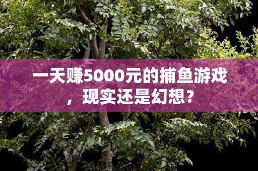 一天赚5000元的捕鱼游戏，现实还是幻想？