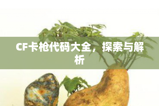 CF卡枪代码大全,探索与解析 CF卡枪代码大全,探索与解析