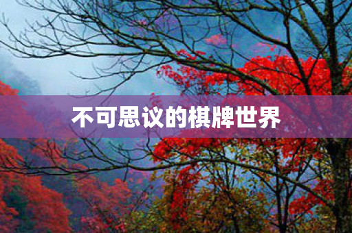 不可思议的棋牌世界 不可思议的棋牌世界