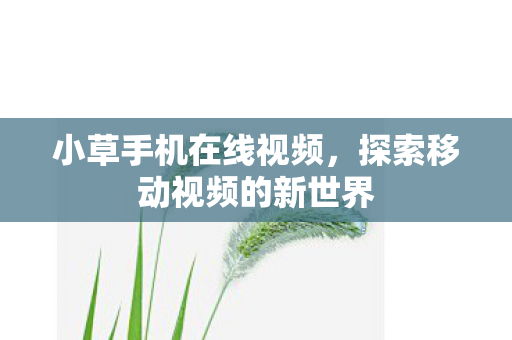 小草手机在线视频,探索移动视频的新世界 小草手机在线视频,探索移动视频的新世界