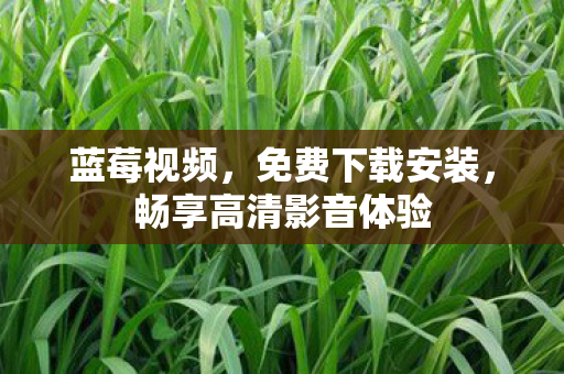 蓝莓视频,免费下载安装,畅享高清影音体验 蓝莓视频,免费下载安装,畅享高清影音体验