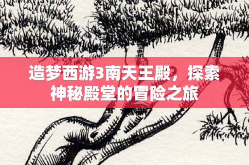 造梦西游3南天王殿,探索神秘殿堂的冒险之旅 造梦西游3南天王殿,探索神秘殿堂的冒险之旅