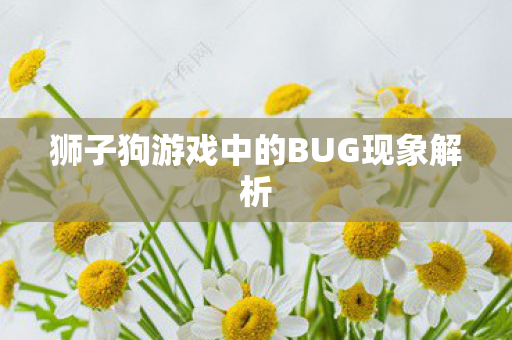 狮子狗游戏中的BUG现象解析 狮子狗游戏中的BUG现象解析