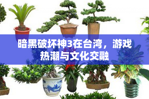 暗黑破坏神3在台湾，游戏热潮与文化交融
