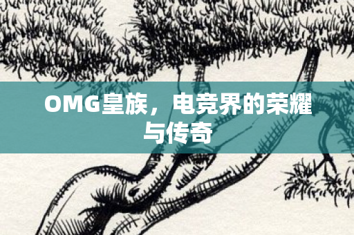 OMG皇族,电竞界的荣耀与传奇 OMG皇族,电竞界的荣耀与传奇
