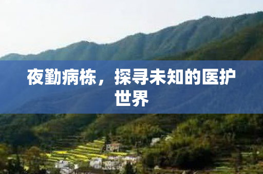 夜勤病栋,探寻未知的医护世界 夜勤病栋,探寻未知的医护世界