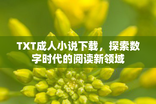 TXT成人小说下载，探索数字时代的阅读新领域