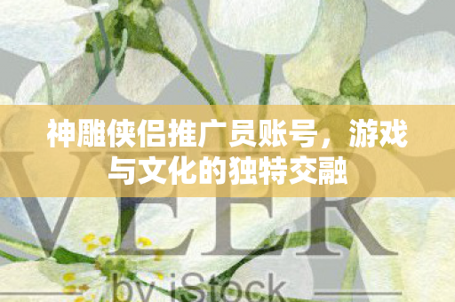 神雕侠侣推广员账号，游戏与文化的独特交融