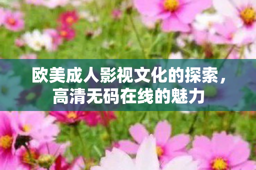 欧美成人影视文化的探索,高清无码在线的魅力 欧美成人影视文化的探索,高清无码在线的魅力