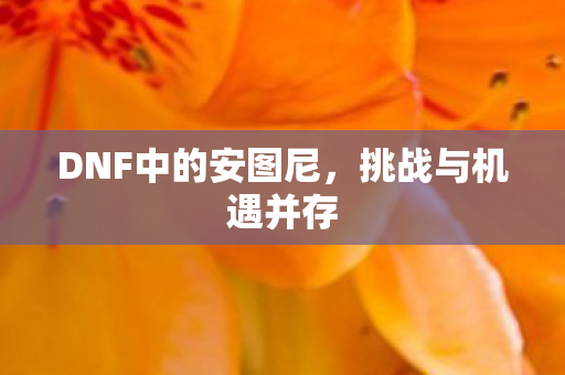 DNF中的安图尼,挑战与机遇并存 DNF中的安图尼,挑战与机遇并存