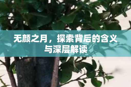 无颜之月，探索背后的含义与深层解读