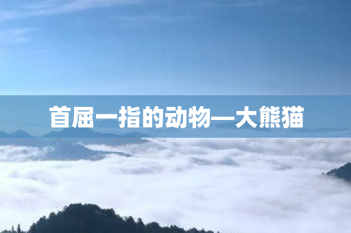 首屈一指的动物—大熊猫 首屈一指的动物—大熊猫