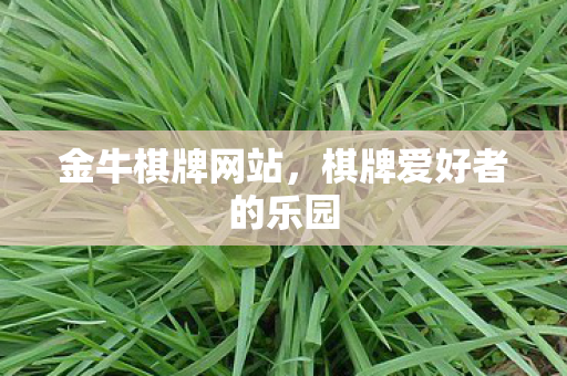金牛棋牌网站,棋牌爱好者的乐园 金牛棋牌网站,棋牌爱好者的乐园