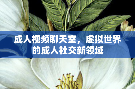 成人视频聊天室,虚拟世界的成人社交新领域 成人视频聊天室,虚拟世界的成人社交新领域