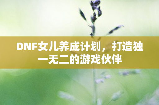 DNF女儿养成计划,打造独一无二的游戏伙伴 DNF女儿养成计划,打造独一无二的游戏伙伴